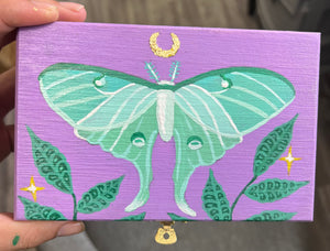 
                  
                    Load image into Gallery viewer, Luna Moth Box - Small
                  
                