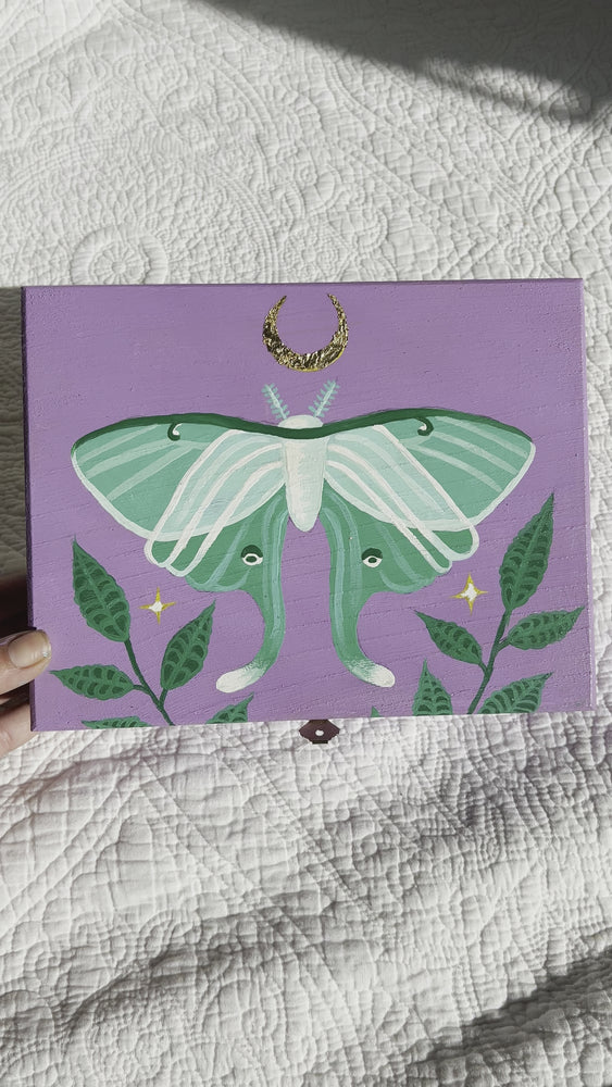 
                  
                    Load and play video in Gallery viewer, Luna Moth Box - Small
                  
                
